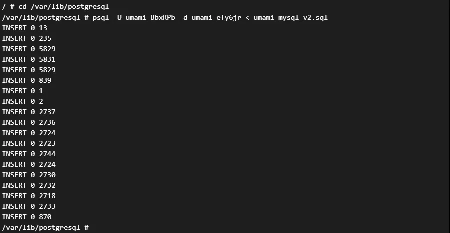 看到一排 INSERT 数据就代表插入成功了