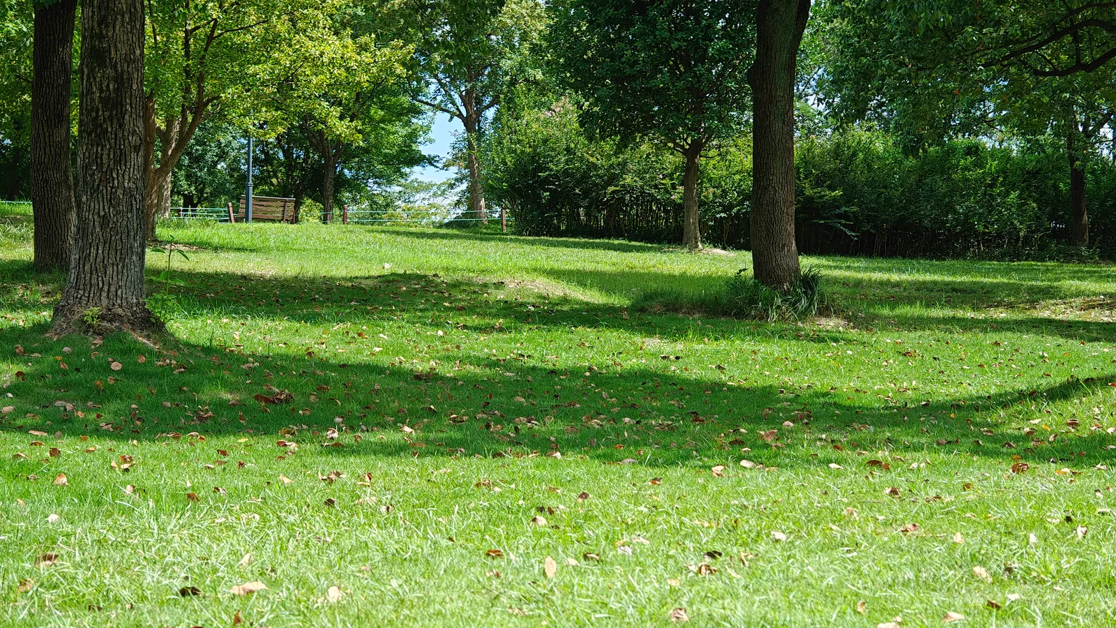 那天在这晒了一下午太阳，好舒服（ 📍杭州 · 湘湖 ）