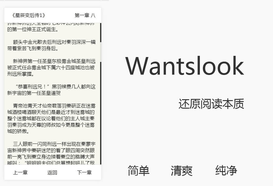 WantsLook