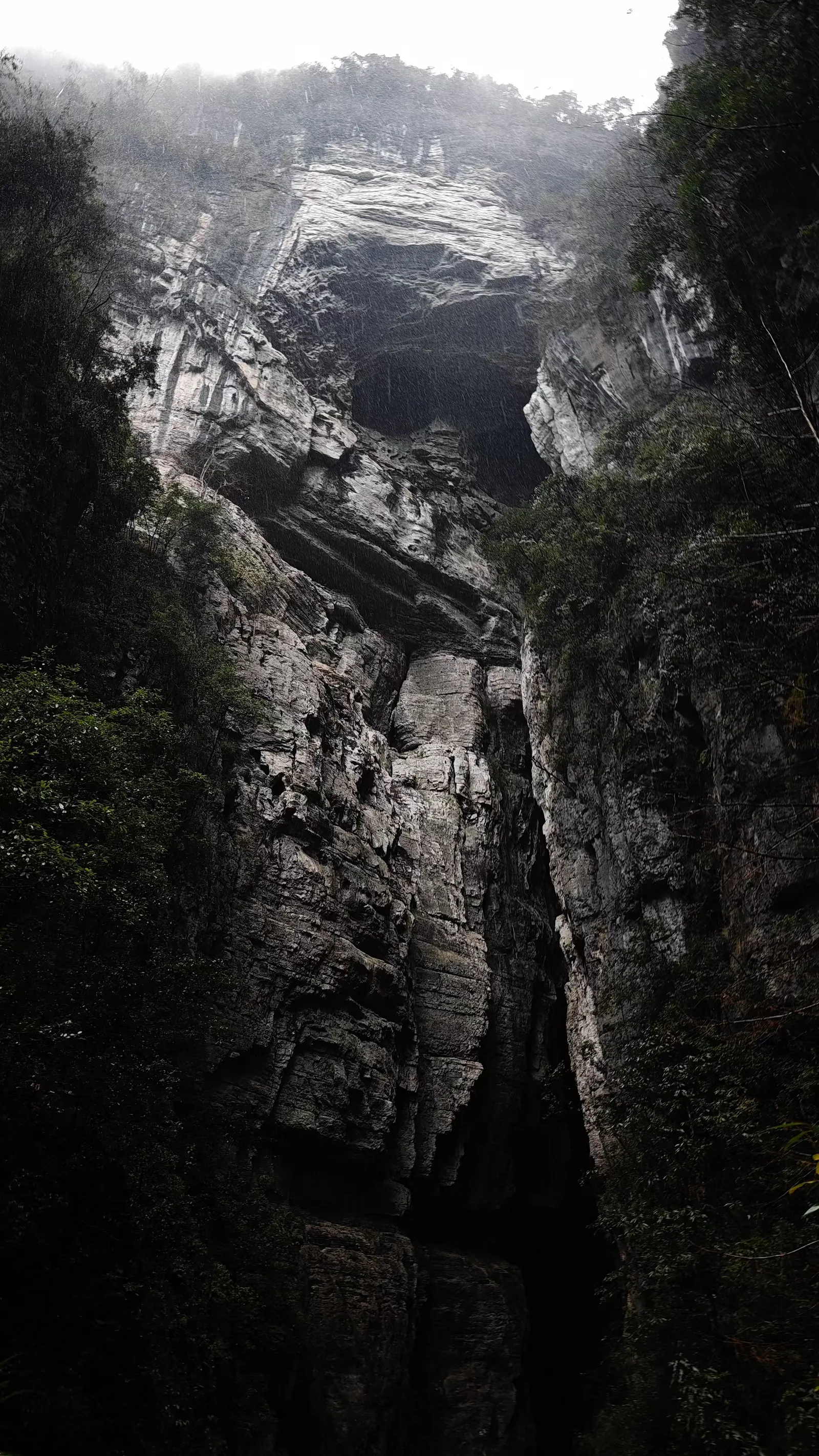 看着像不像一只猩猩？