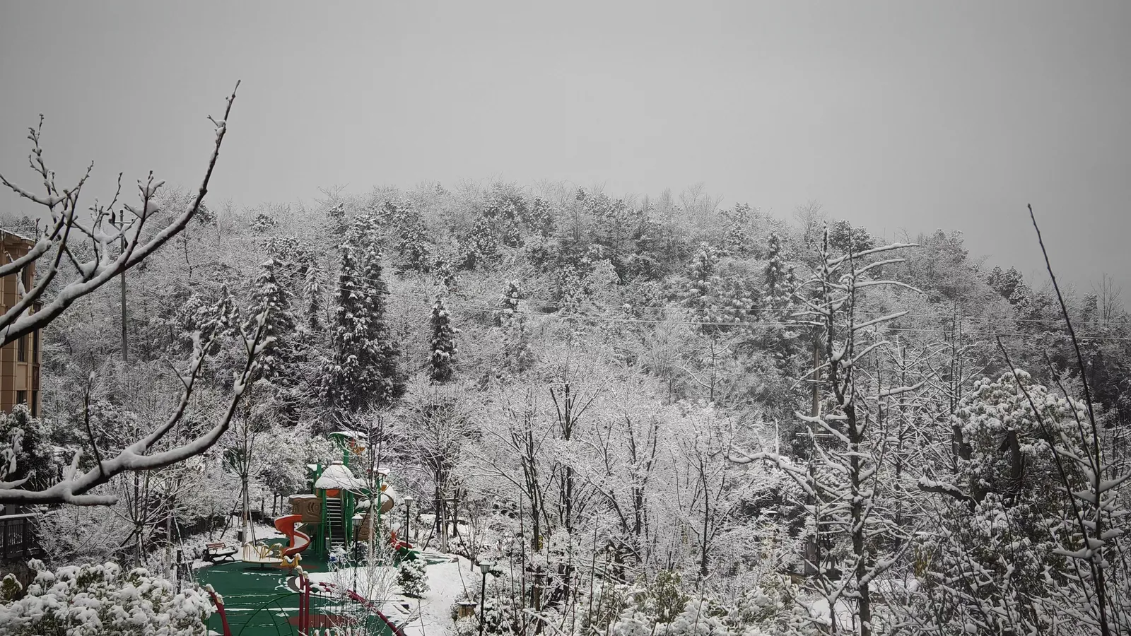 吃饭时外面已经是厚厚的雪景了