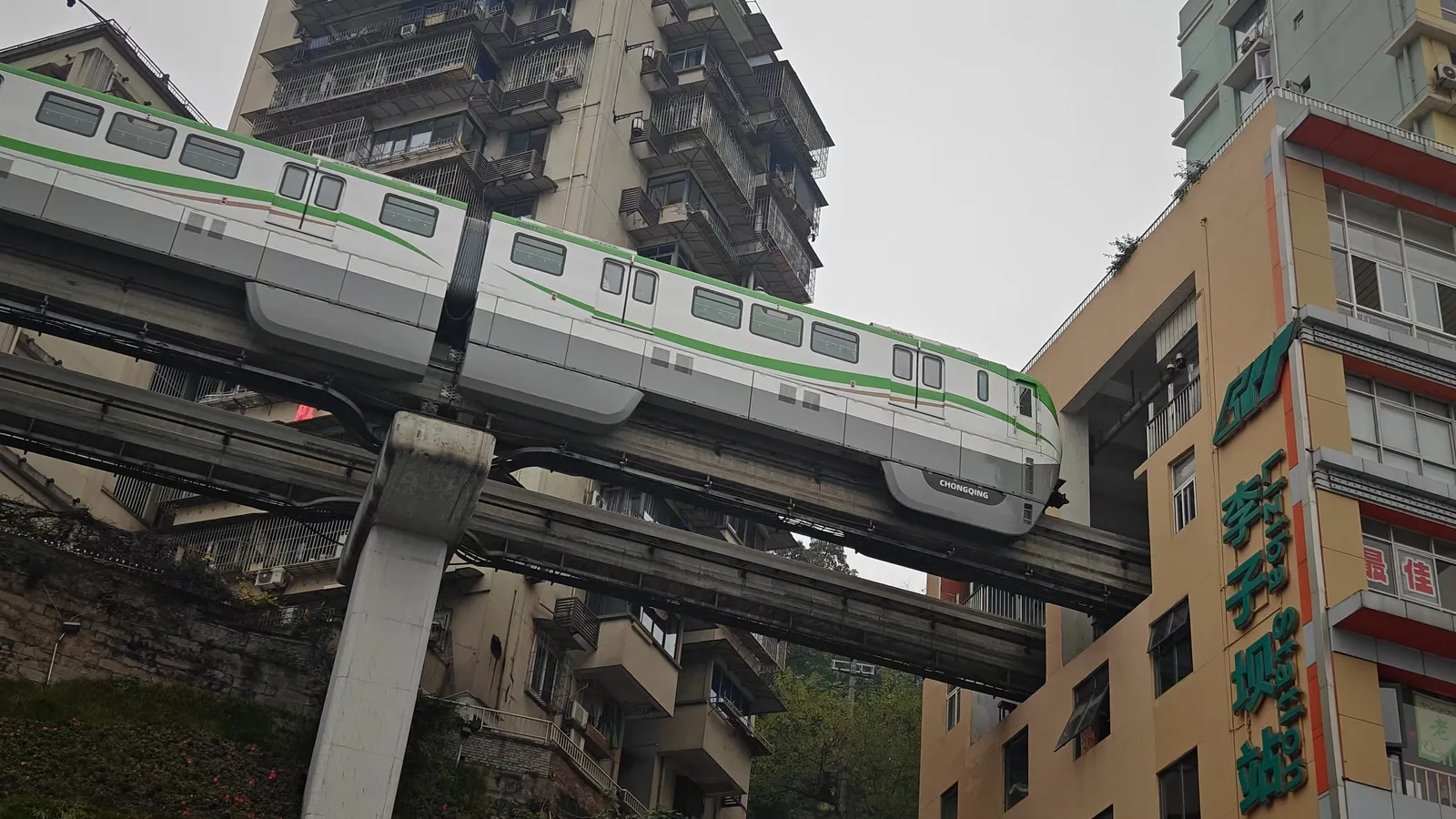 手机长焦镜头立大功