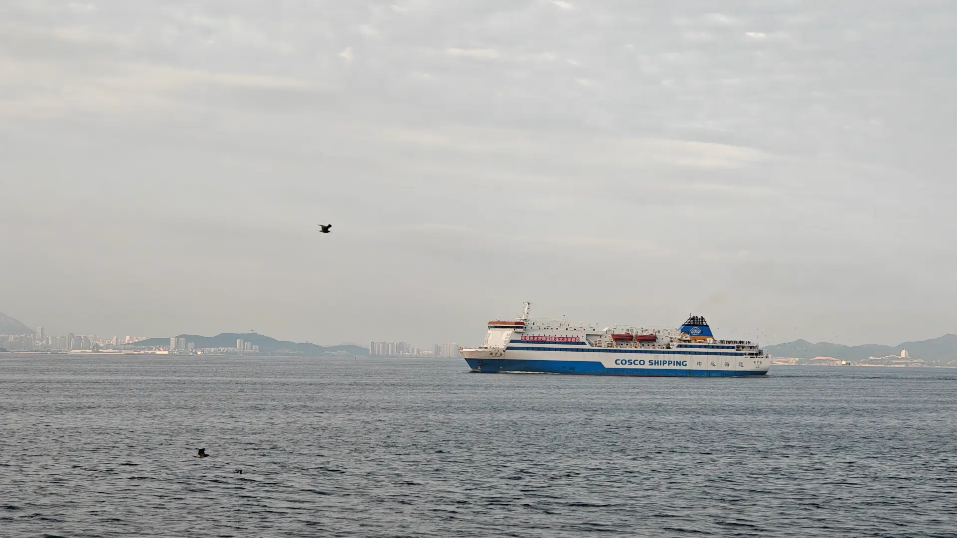 爱墙广场拍到的大船