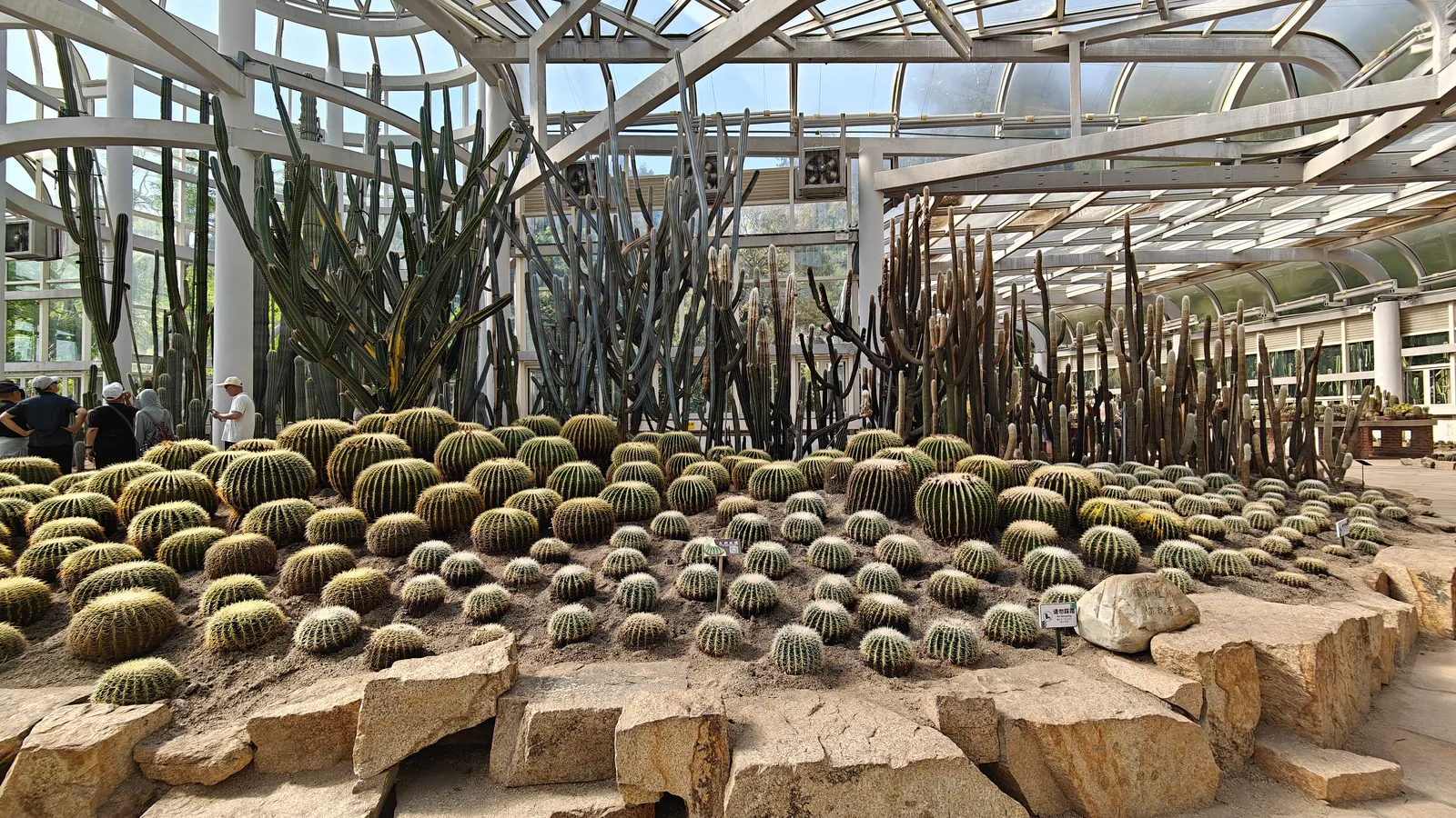 让人暴汗的仙人掌植物馆