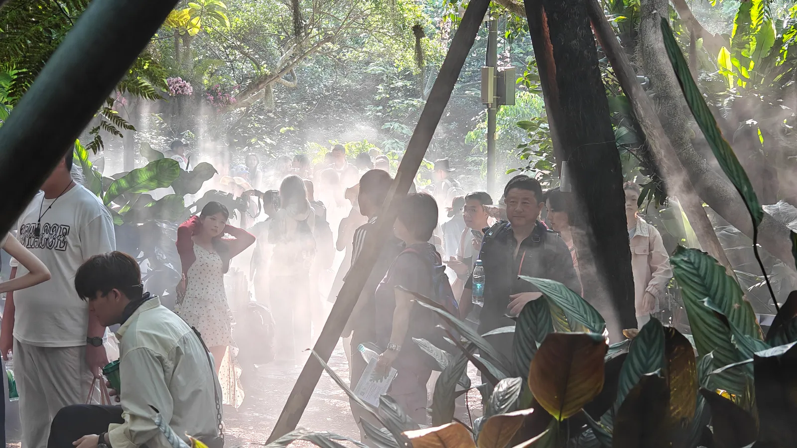 热带雨林区的打卡游客巨巨巨多！