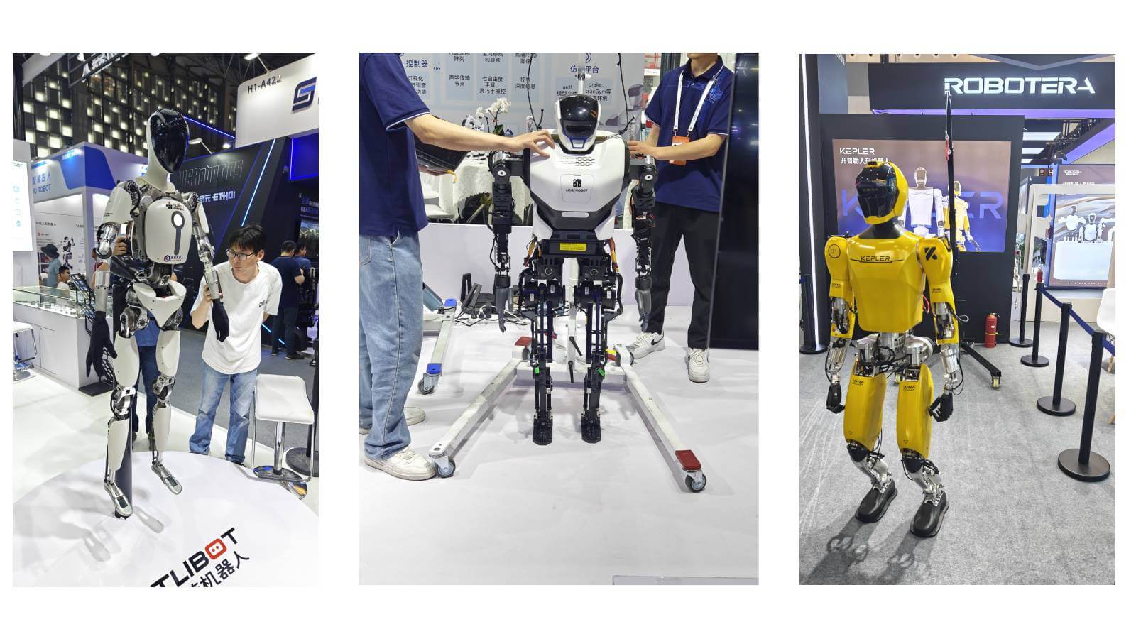 大部分机器人都挂在展架上